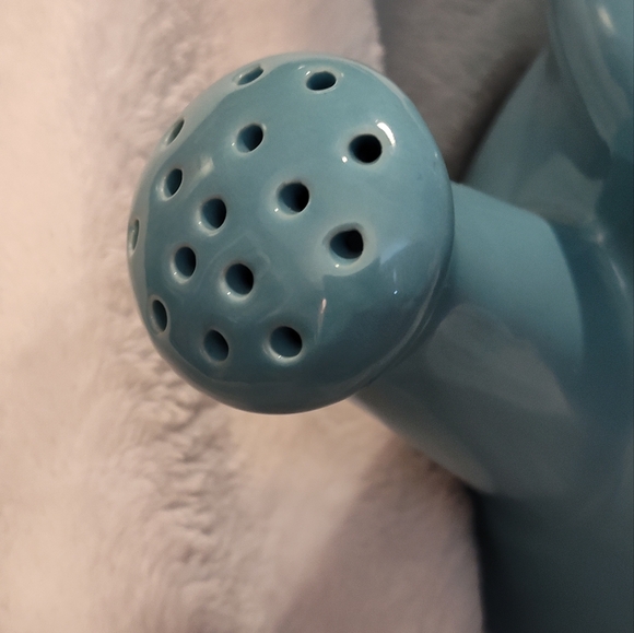 NEW!! Rae Dunn "Deep Roots" Ceramic Watering Can - Picture 6 of 10